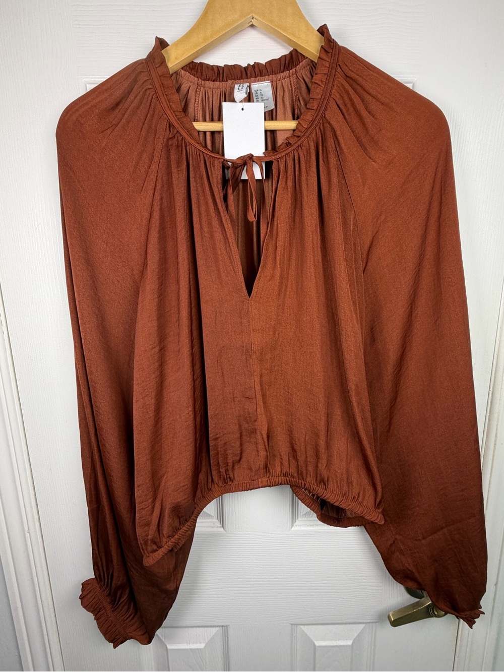 H&M Rust Tie-Neck Cropped Peasant Blouse XL NWT Boho Cottagecore 70s Romantic